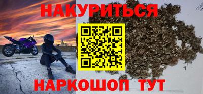 мяу мяу мука Гай