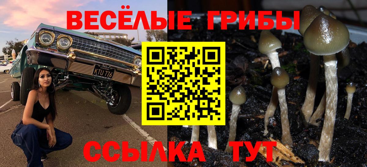Галлюциногенные грибы ЛСД  Вход с VPN  Михайловка 