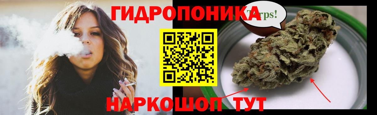 Михайловка  Каннабис индика  Марихуана марихуана  Марихуана тримм  Вход с VPN 